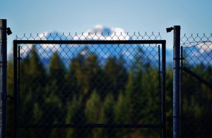 Why Fences Need Gates